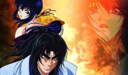 甲贺忍法帖动漫,暗影中的忍者传奇